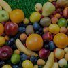 Master en Coaching Nutricional