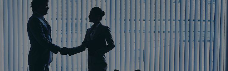 Experto en Dirección de Empresas + SAP