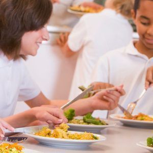 curso de nutrición infantil en comedores escolares