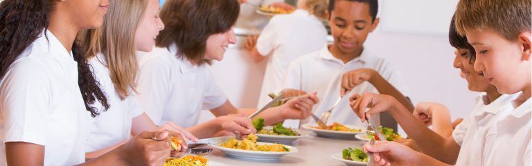 Curso de Nutrición Infantil en Comedores Escolares y Guarderías