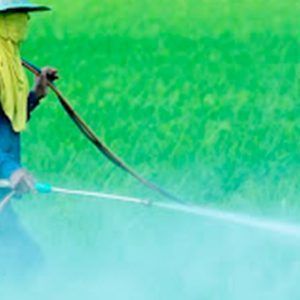 curso de biocidas