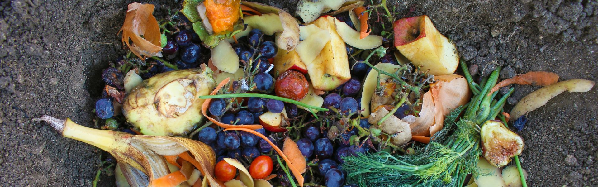 Curso de Cómo cumplir la ley de desperdicio alimentario